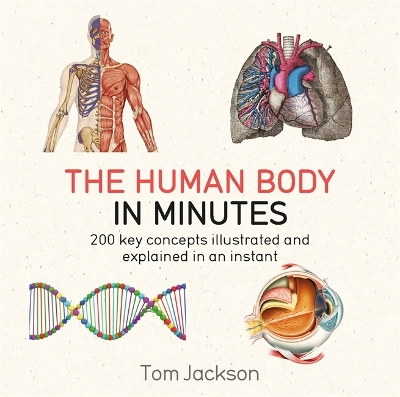 Book cover for The Human Body in Minutes