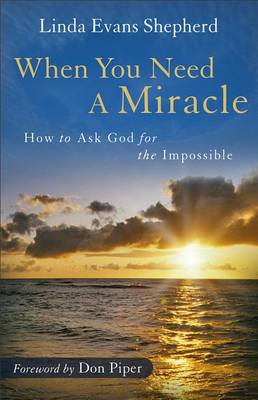 Book cover for When You Need a Miracle