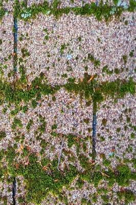 Book cover for Moss Growth Roof Shingles Journal