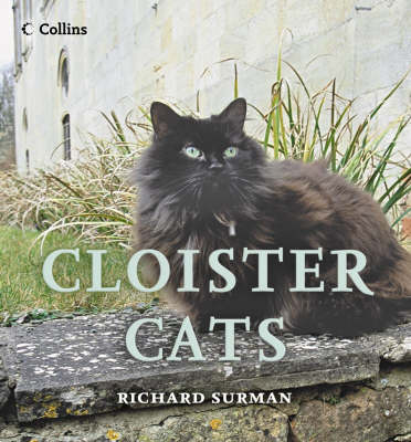 Book cover for Cloister Cats