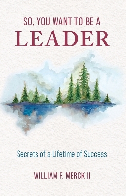 Book cover for So, You Want to Be a Leader