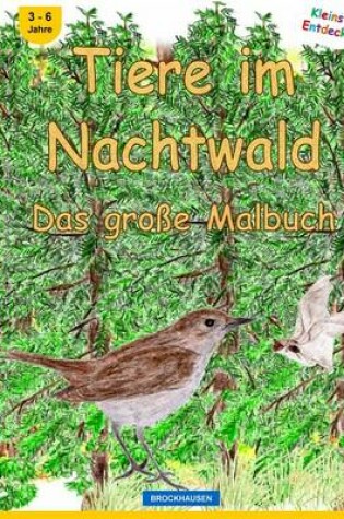 Cover of BROCKHAUSEN - Tiere im Nachtwald - Das grosse Malbuch
