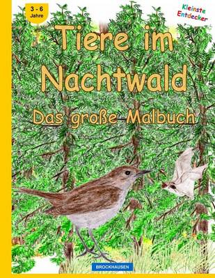 Book cover for BROCKHAUSEN - Tiere im Nachtwald - Das grosse Malbuch