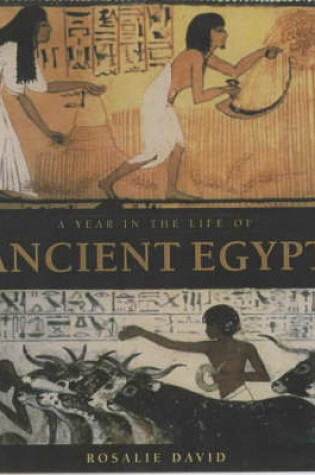 Cover of A Year in the Life of Ancient Egypt