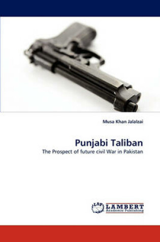 Cover of Punjabi Taliban