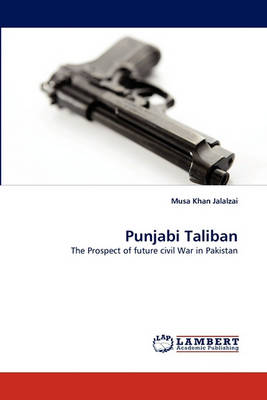 Book cover for Punjabi Taliban