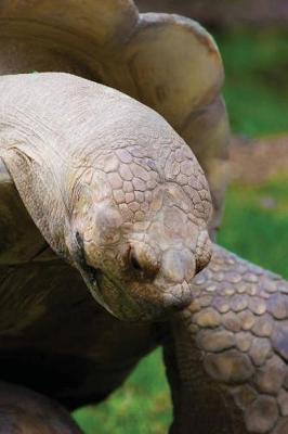 Cover of Galapagos Tortoise Journal