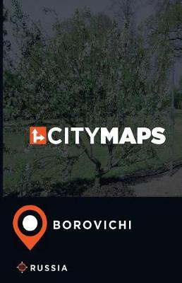 Book cover for City Maps Borovichi Russia