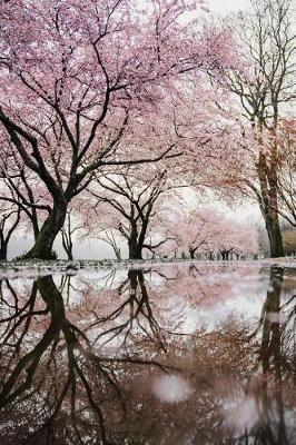 Book cover for Pink Cherry Blossoms Reflection Journal