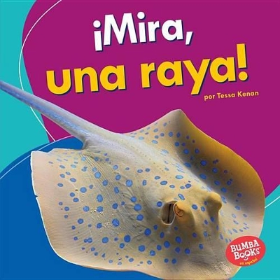 Book cover for ¡Mira, una raya! (Look, a Ray!)