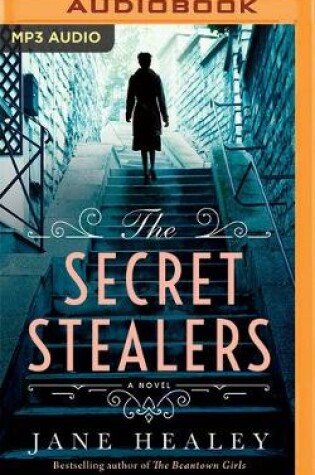 Cover of The Secret Stealers