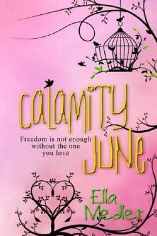 Cover of Calamity June