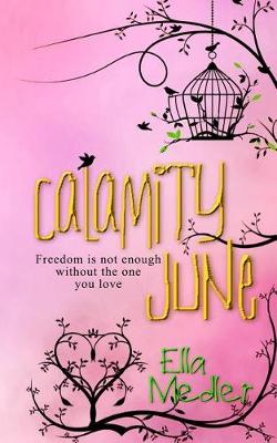 Book cover for Calamity June