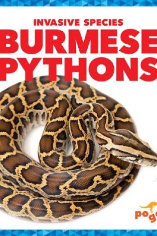 Cover of Burmese Pythons