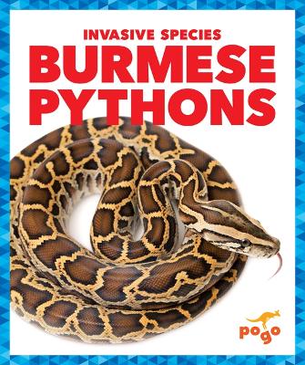 Book cover for Burmese Pythons