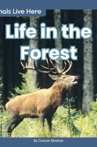Cover of Animals Live Here: Life in the Forest