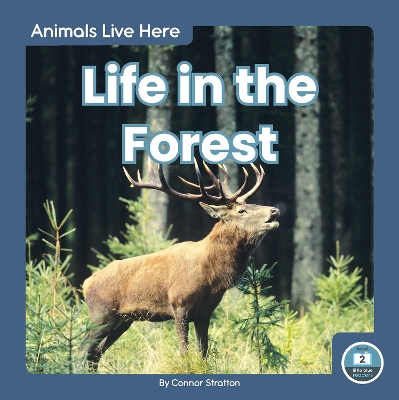 Book cover for Animals Live Here: Life in the Forest