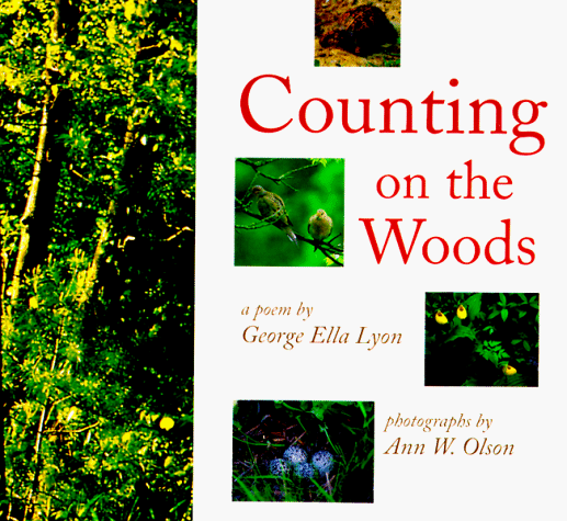 Book cover for Counting on the Woods