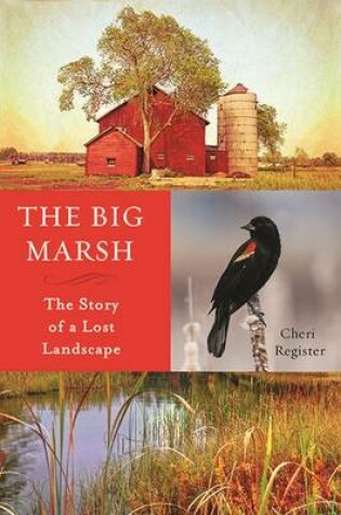 Cover of The Big Marsh