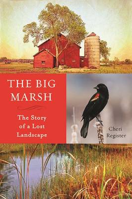 Book cover for The Big Marsh