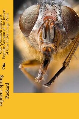 Cover of Our Common Insects a Popular Account of the Insects of Our Fields