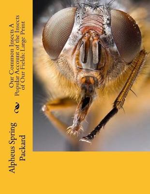 Book cover for Our Common Insects a Popular Account of the Insects of Our Fields