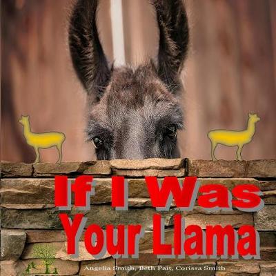 Book cover for If I Was Your Llama