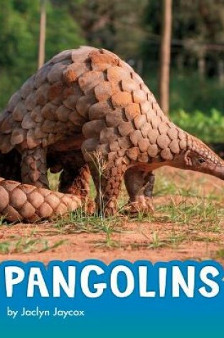 Cover of Pangolins