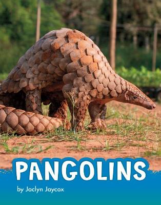 Book cover for Pangolins