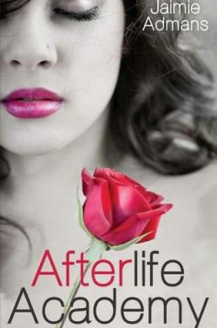 Cover of Afterlife Academy