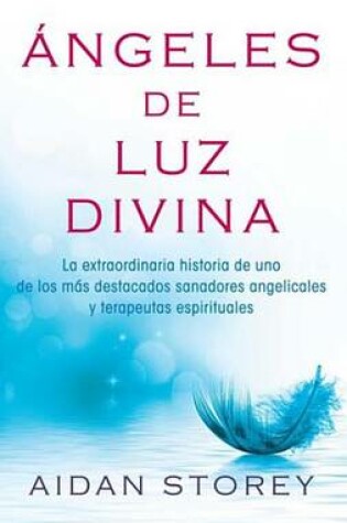 Cover of Angels of Divine Light (Spanish edition)
