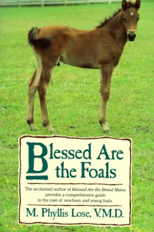 Cover of Blessed are the Foals