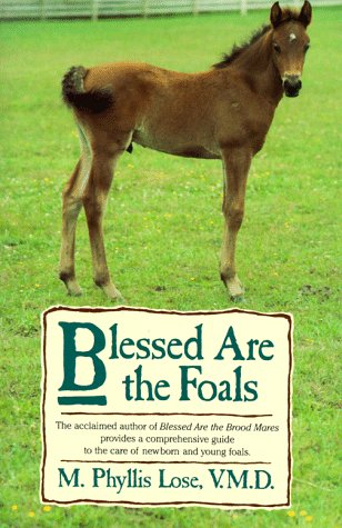 Book cover for Blessed are the Foals