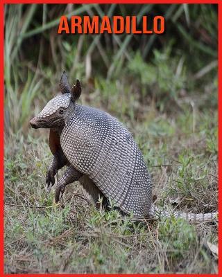 Book cover for Armadillo