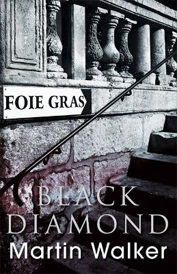 Book cover for Black Diamond