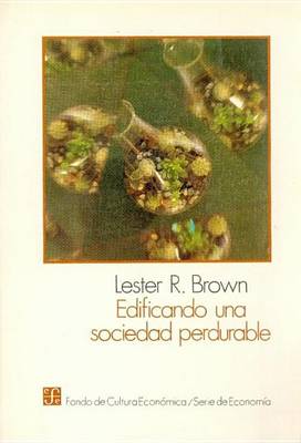 Cover of Edificando Una Sociedad Perdurable