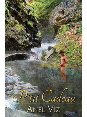 Book cover for P'Tit Cadeau