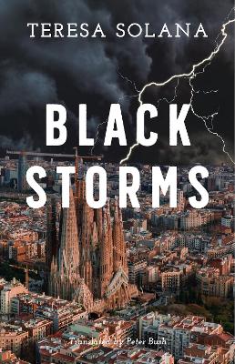 Book cover for Black Storms