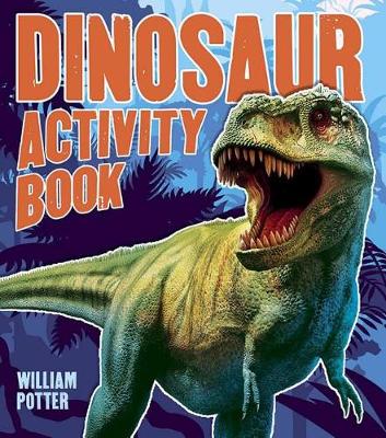 Book cover for Dinosaur Activity Book