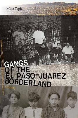 Book cover for Gangs of the El Paso-Juarez Borderland