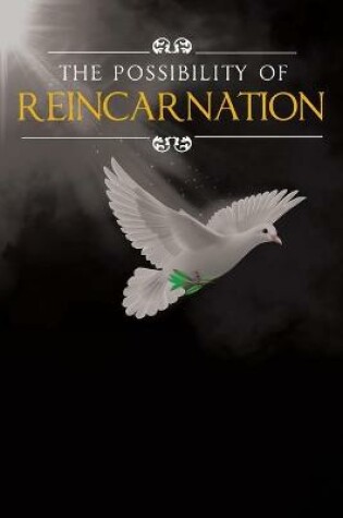 Cover of The Possibility Of Reincarnation