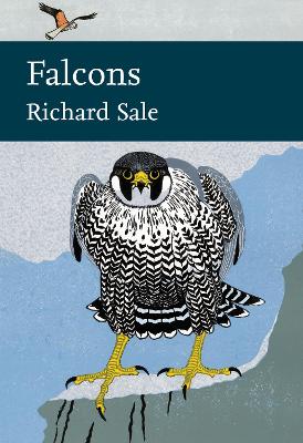 Cover of Falcons