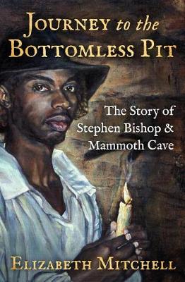 Book cover for Journey to the Bottomless Pit