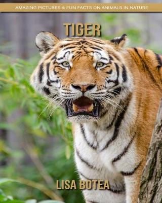 Book cover for Tiger