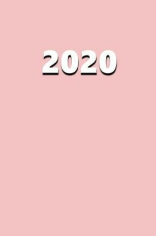 Cover of 2020 Daily Planner 2020 Baby Pink Color 384 Pages