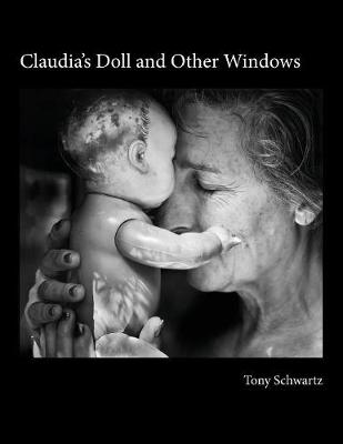 Book cover for Claudia's Doll and Other Windows