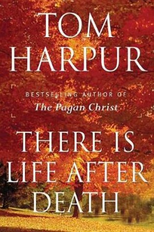 Cover of There Is Life After Death