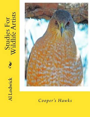 Book cover for Cooper's Hawks