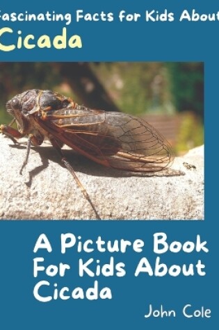 Cover of A Picture Book for Kids About Cicada