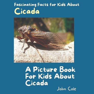 Book cover for A Picture Book for Kids About Cicada